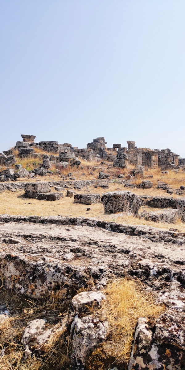 Peacekeeping & International Cooperation